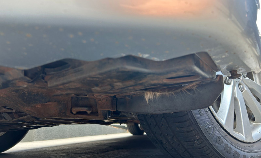 PCPR identifica motorista e apreende carro que atropelou cadela em Ivaiporã