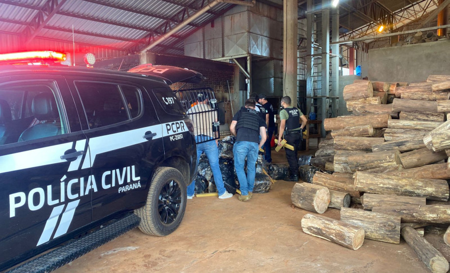 PCPR incinera cerca de uma tonelada de entorpecentes em Dois Vizinhos