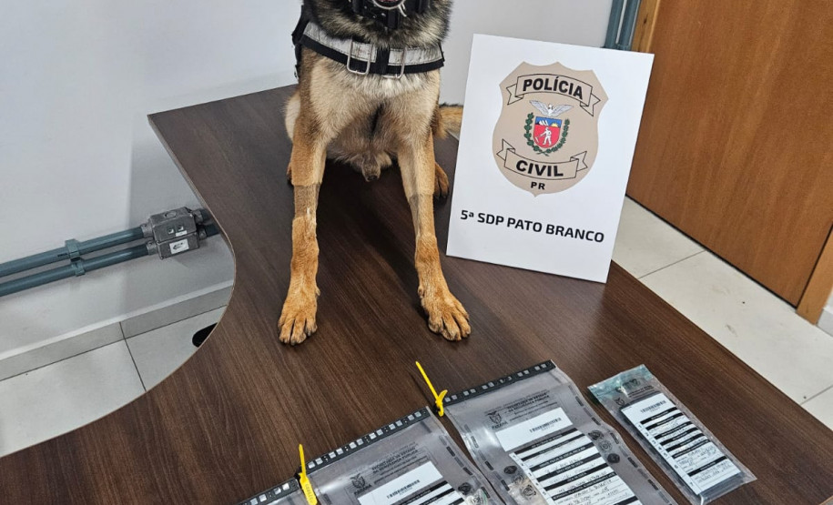 PCPR cumpre mandado de busca e apreensão e prende homem em flagrante por tráfico de droga em Pato Branco