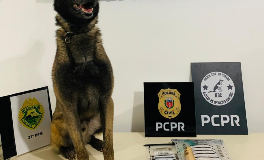 PCPR e PMPR prende homem líder do tráfico de drogas durante operação em São Mateus do Sul