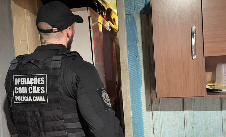 PCPR e PMPR prendem homem e cumprem mandados de busca durante operação em Nova Londrina