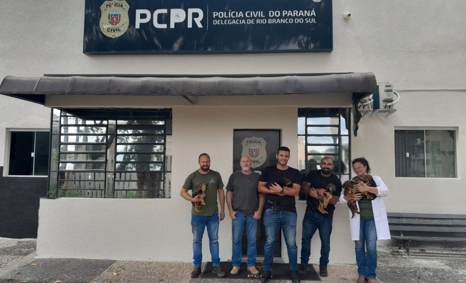 PCPR prende homem em flagrante por maus-tratos a animais em Rio Branco do Sul