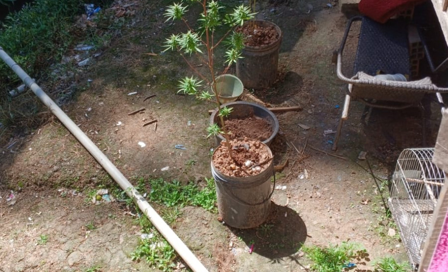 PCPR prende homem em flagrante por tráfico de drogas em Campo Magro