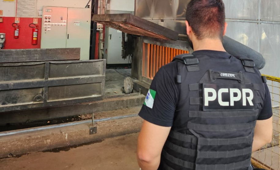 PCPR incinera 10 kg de drogas em Cruzeiro do Oeste