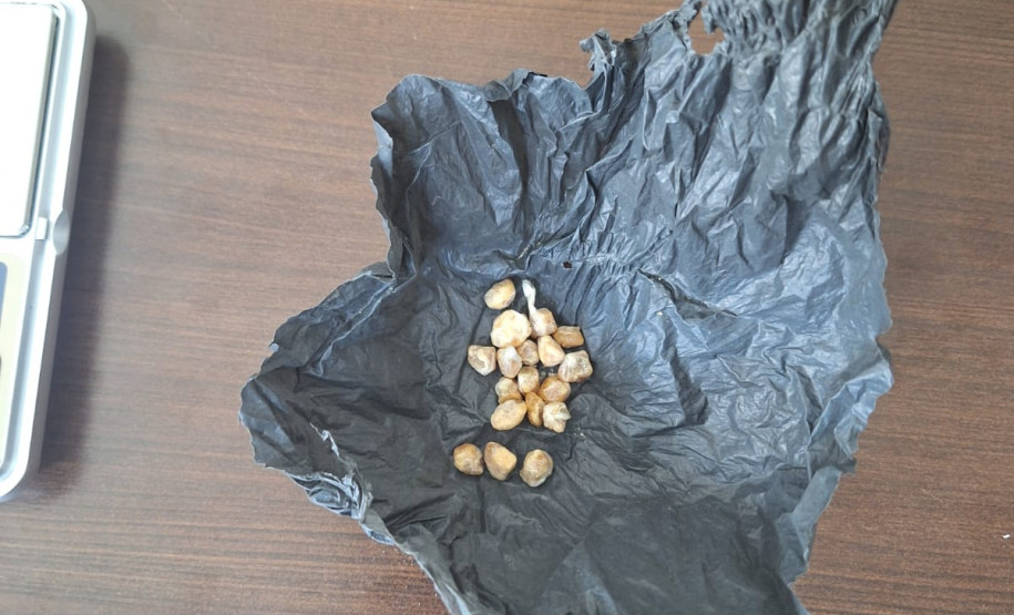 PCPR prende duas pessoas por tráfico de drogas em Piraquara