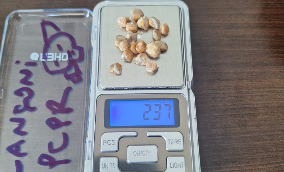 PCPR prende duas pessoas por tráfico de drogas em Piraquara