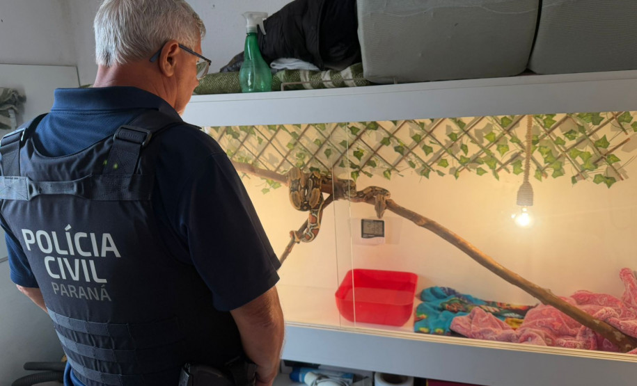 PCPR prende homem por tráfico de drogas e apreende animal silvestre durante operação em Curitiba