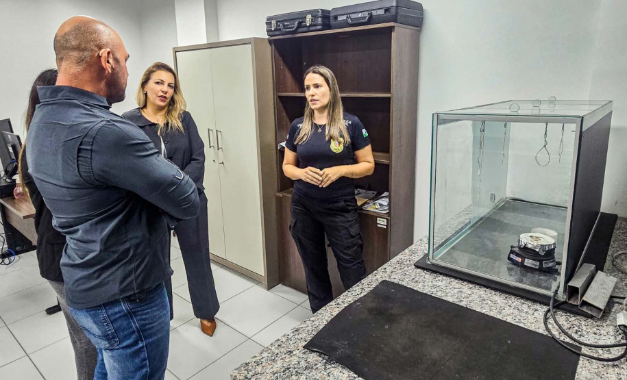 Delegacia cidadã Maringá