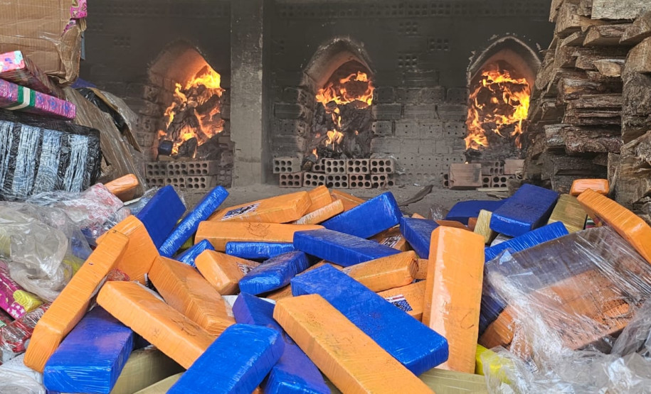 PCPR incinera aproximadamente três toneladas de drogas em São José dos Pinhais