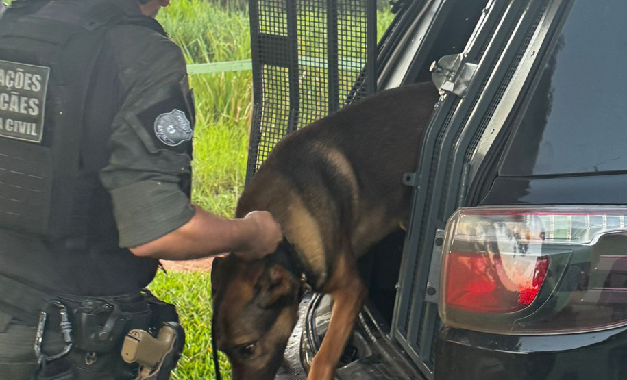 PCPR e PMPR cumprem mandado de busca e apreensão em Icaraíma