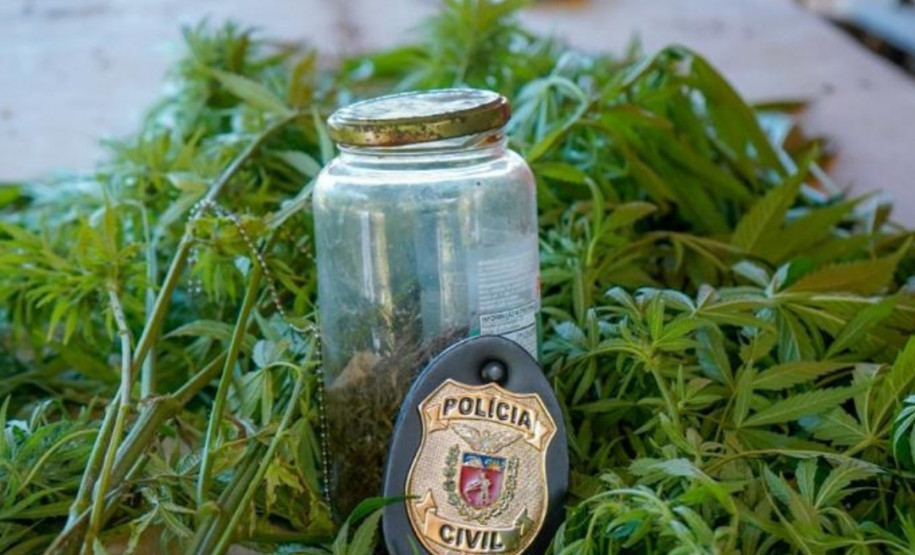 PCPR prende homem em flagrante por tráfico de drogas, maus-tratos a animal e outros delitos em Quatro Barras