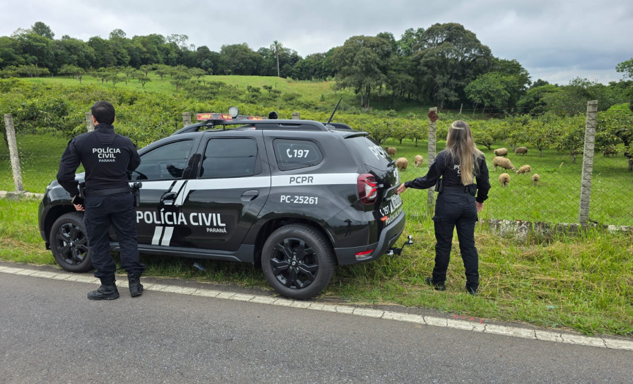 PCPR prende homem em flagrante por crimes no contexto de violência doméstica em Araucária