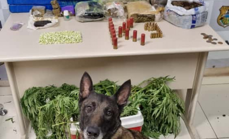 PCPR, PMPR e GCM prendem três pessoas durante operação contra o tráfico de drogas em Ponta Grossa