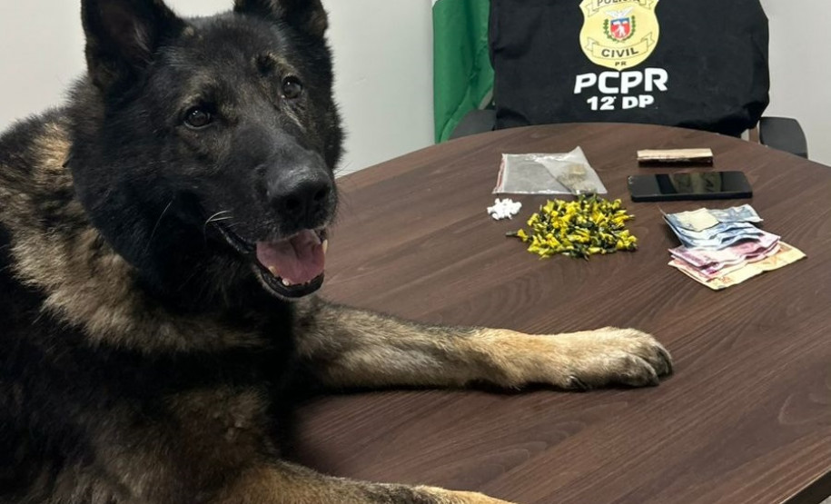 PCPR prende homem em flagrante por tráfico de drogas no bairro São Braz