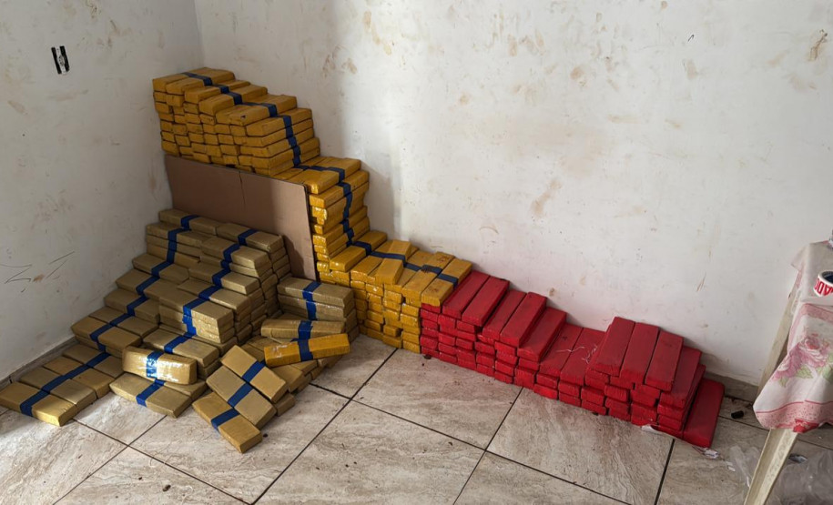 Em maior apreensão do ano, PCPR localiza 4,1 toneladas de maconha em Foz do Iguaçu