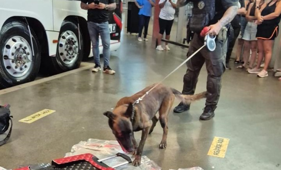 PCPR prende homem que transportava drogas em ônibus interestadual em Londrina