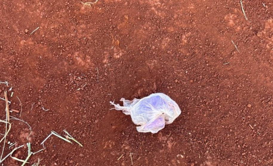 PCPR e GCM prendem três pessoas durante operação em Londrina