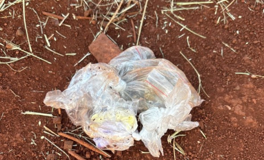 PCPR e GCM prendem três pessoas durante operação em Londrina