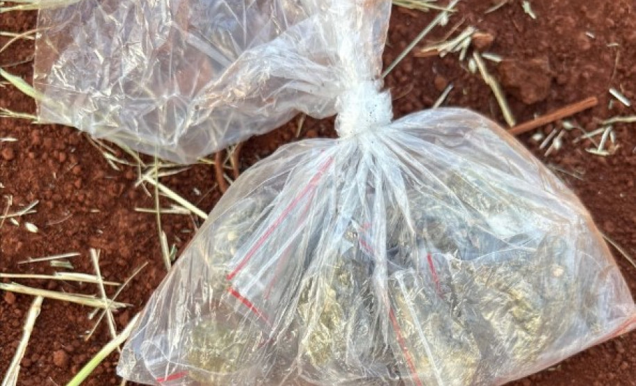 PCPR e GCM prendem três pessoas durante operação em Londrina