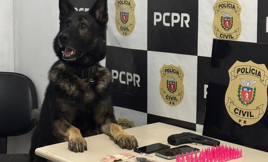 PCPR prende dois homens por tráfico de drogas em Bocaiúva do Sul