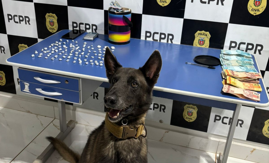 PCPR e PMPR prendem cinco pessoas durante operação deflagrada contra o tráfico de drogas no Oeste