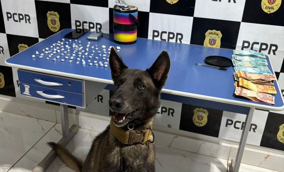 PCPR e PMPR prendem cinco pessoas durante operação deflagrada contra o tráfico de drogas no Oeste