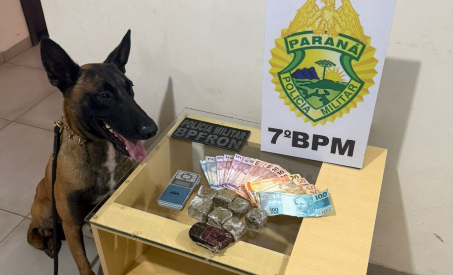 PCPR e PMPR prendem quatro pessoas durante ação contra o tráfico de drogas em Goioerê