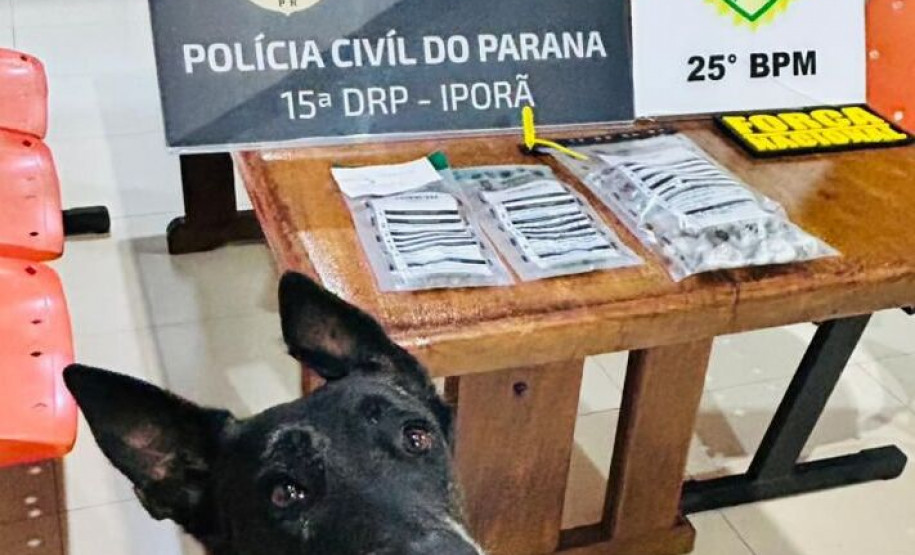 Forças de Segurança prendem homem em flagrante por tráfico de drogas em Francisco Alves