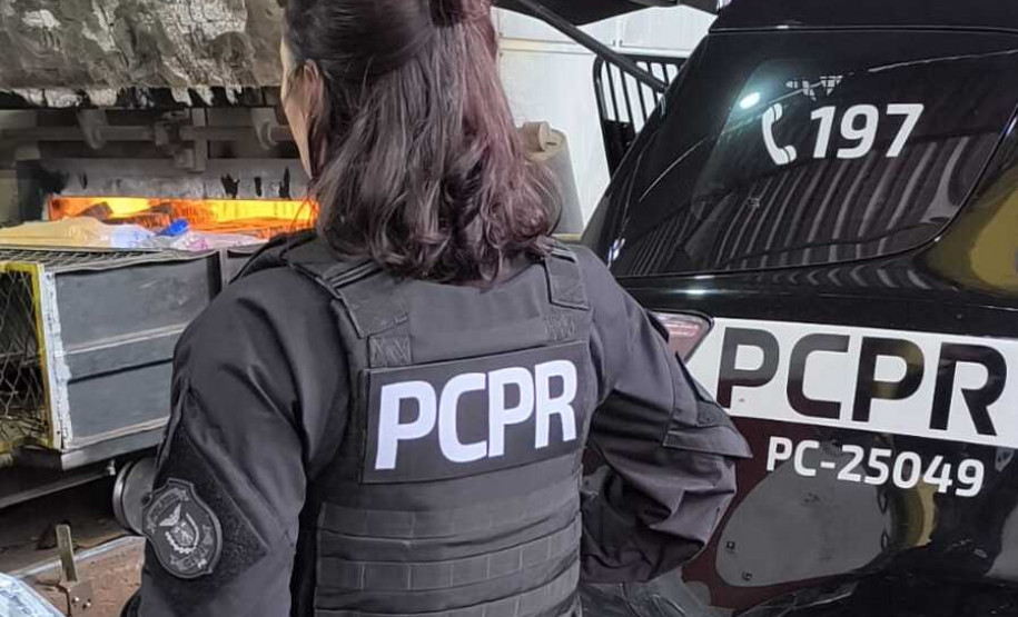 PCPR incinera mais de 1,4 toneladas de drogas em Umuarama