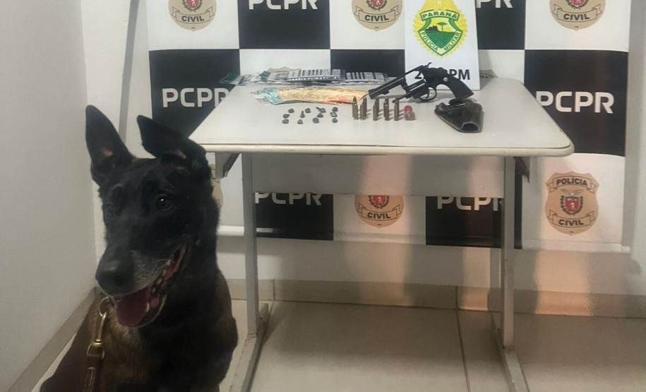 PCPR e PMPR prendem casal por tráfico de drogas em Alto Piquiri