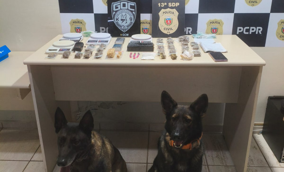 PCPR e GCM prendem prendem homem em flagrante por tráfico de drogas em Ponta Grossa