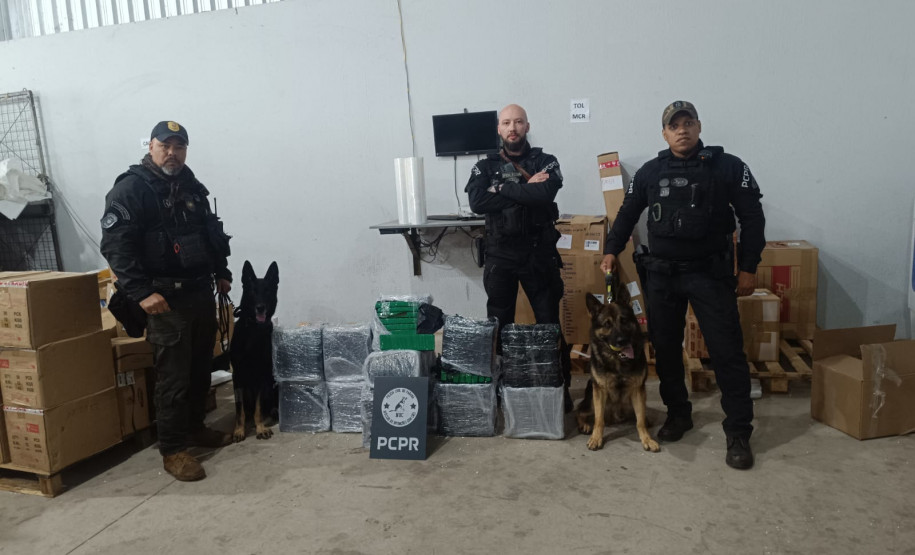 PCPR apreende 150 quilos de maconha durante ação em Cascavel