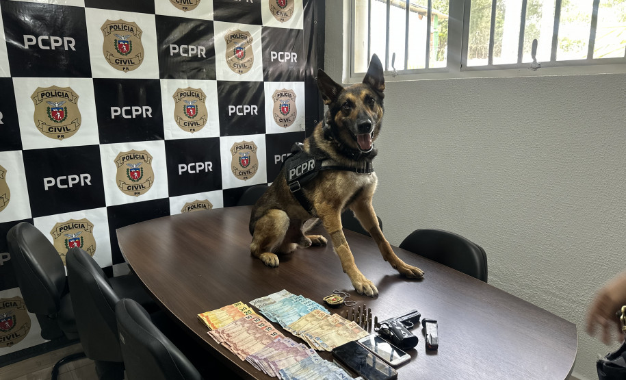PCPR inspira criação de data oficial em homenagem aos cães operacionais da segurança pública