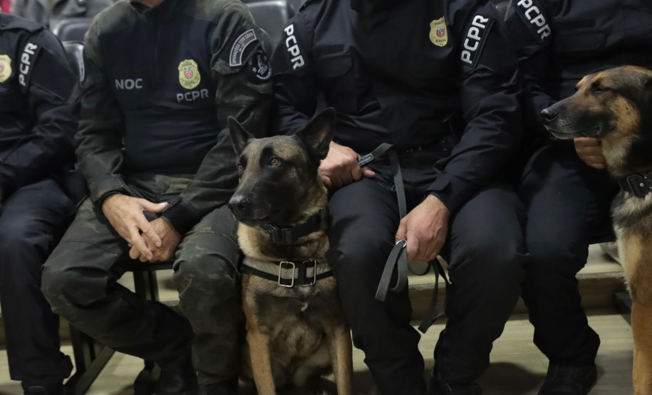 PCPR inspira criação de data oficial em homenagem aos cães operacionais da segurança pública