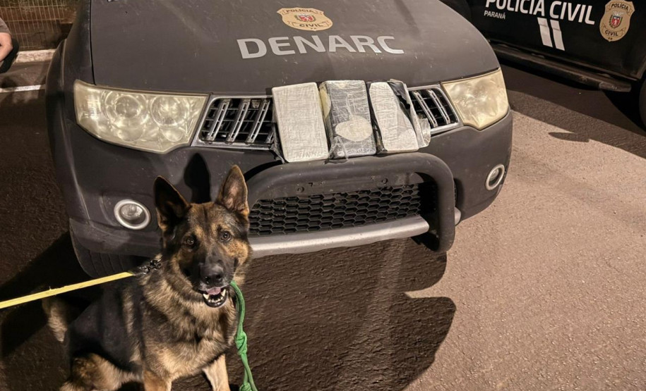 Com trabalho de cão de faro, PCPR localiza 3 quilos de cocaína e prende dois homens em flagrante