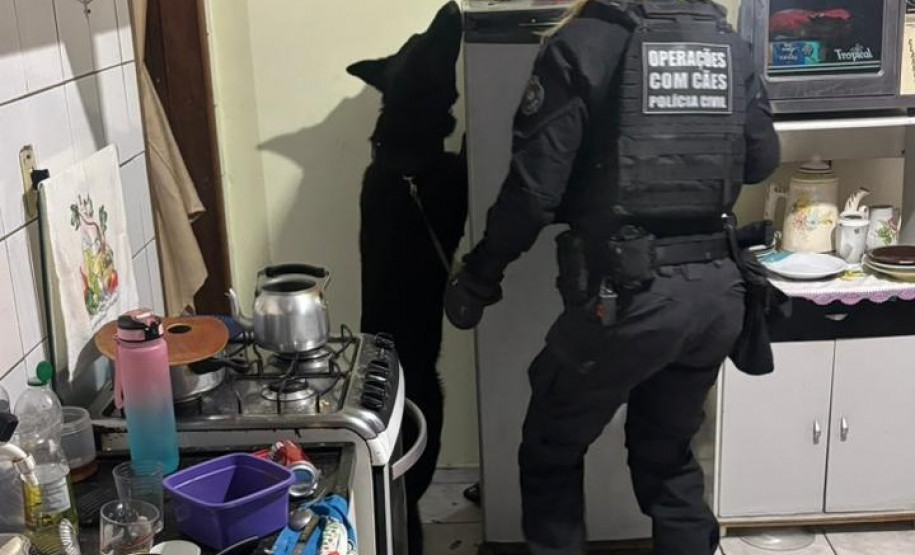 Forças de segurança prendem 21 pessoas em operação contra organização criminosa
