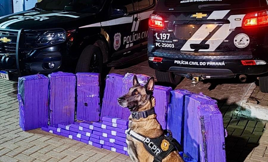 PCPR apreende mais de 227 quilos de maconha e prende três pessoas em ações no Oeste do Estado