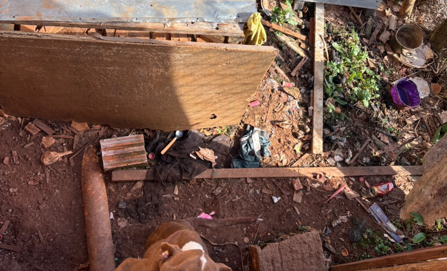 PCPR prende homem por maus-tratos a animal em Tibagi