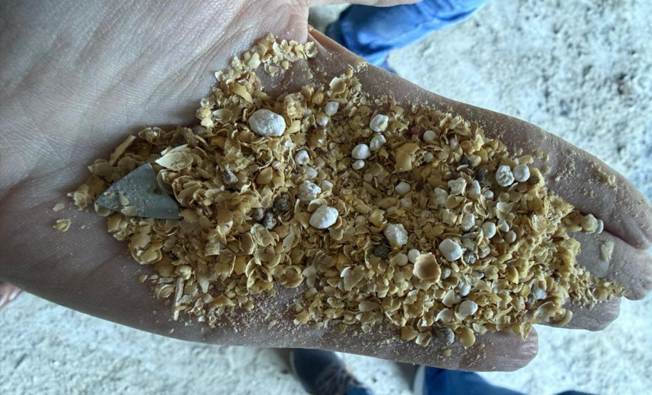 PCPR prende quatro homens por adulteração de produtos agrícolas em São José dos Pinhais