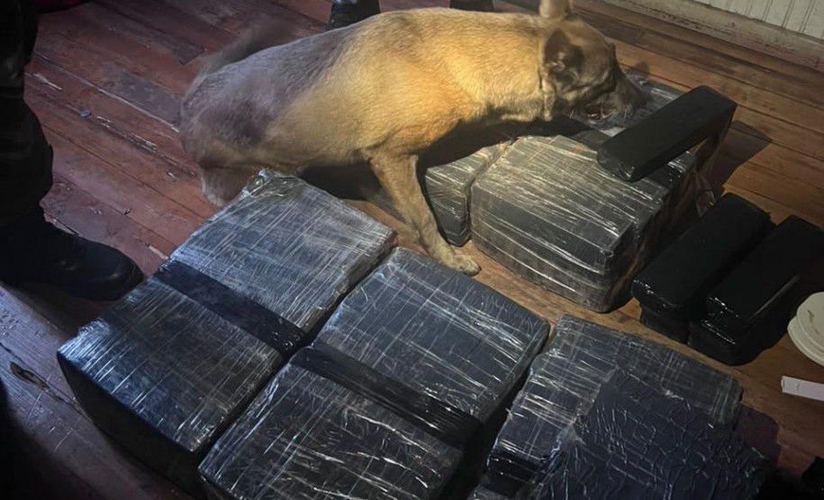 PCPR prende oito pessoas e apreende mais de 120 quilos de drogas em operação em Cascavel