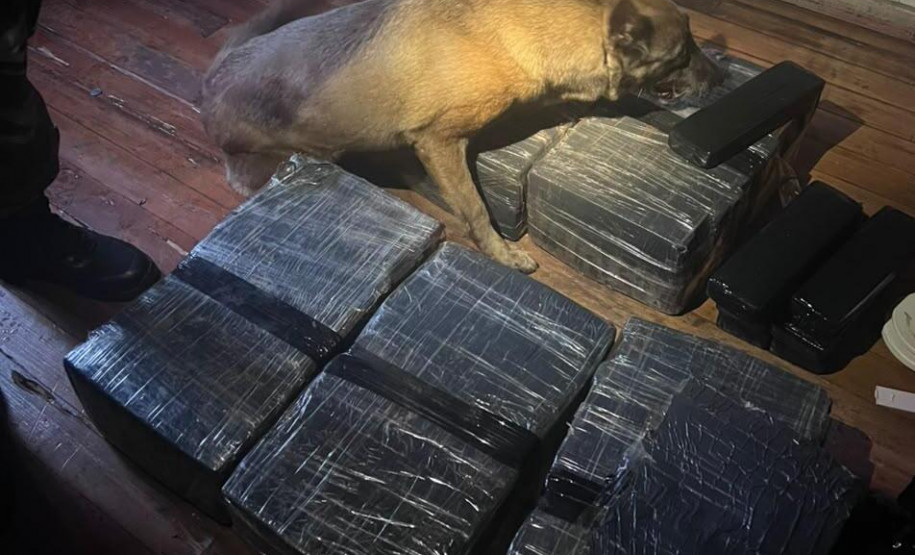 PCPR prende oito pessoas e apreende mais de 120 quilos de drogas em operação em Cascavel