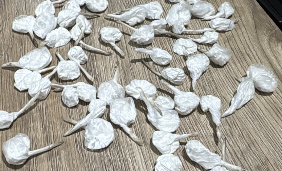 PCPR e PMPR prendem 13 pessoas e apreendem drogas e armas em Arapongas