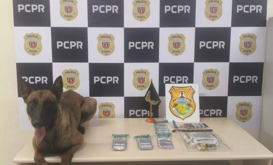 PCPR e GCM apreendem cerca de 400 gramas de crack em Ponta Grossa