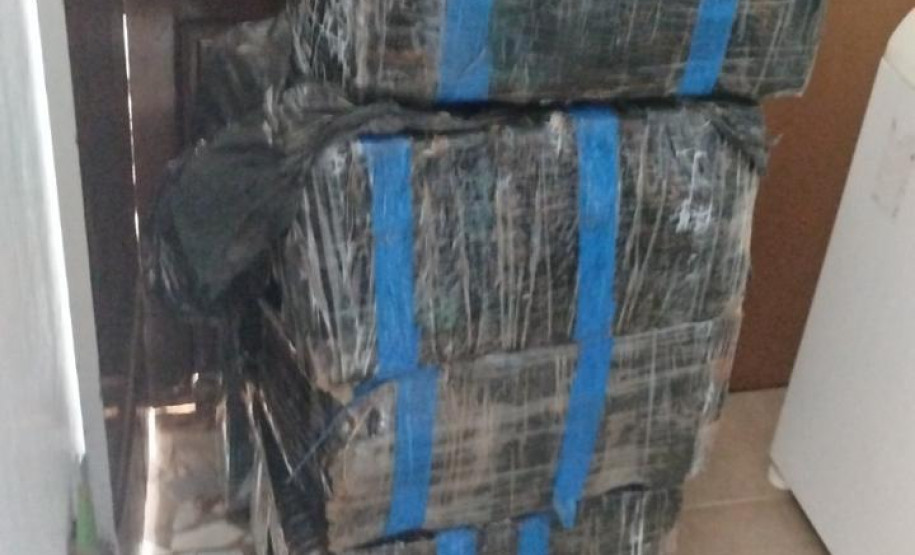 PCPR prende sete pessoas e apreende materiais durante operação contra tráfico interestadual de drogas em três estados