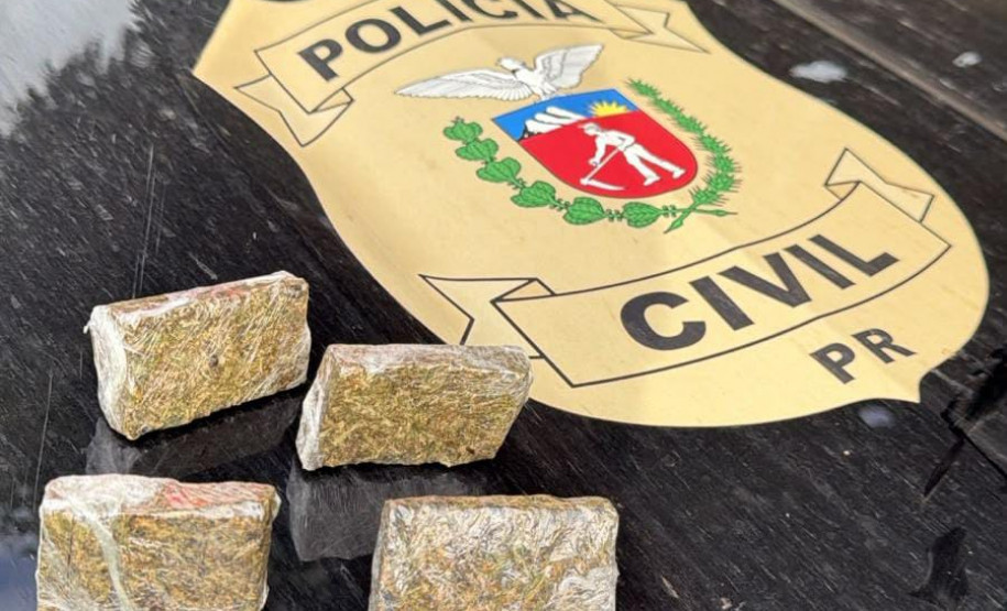 PCPR e PMPR prendem quatro pessoas e apreende drogas e armas em Bandeirantes