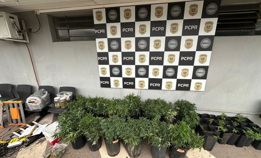 PCPR prende 101 pessoas em megaoperação contra organização criminosa em três estados