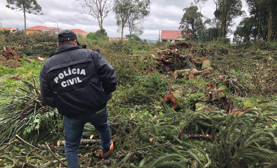 PCPR prende homem por desmatamento criminoso em Fazenda Rio Grande