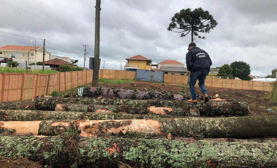 PCPR prende homem por desmatamento criminoso em Fazenda Rio Grande