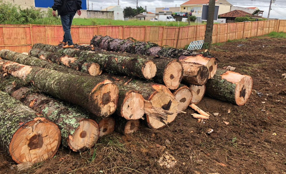 PCPR prende homem por desmatamento criminoso em Fazenda Rio Grande