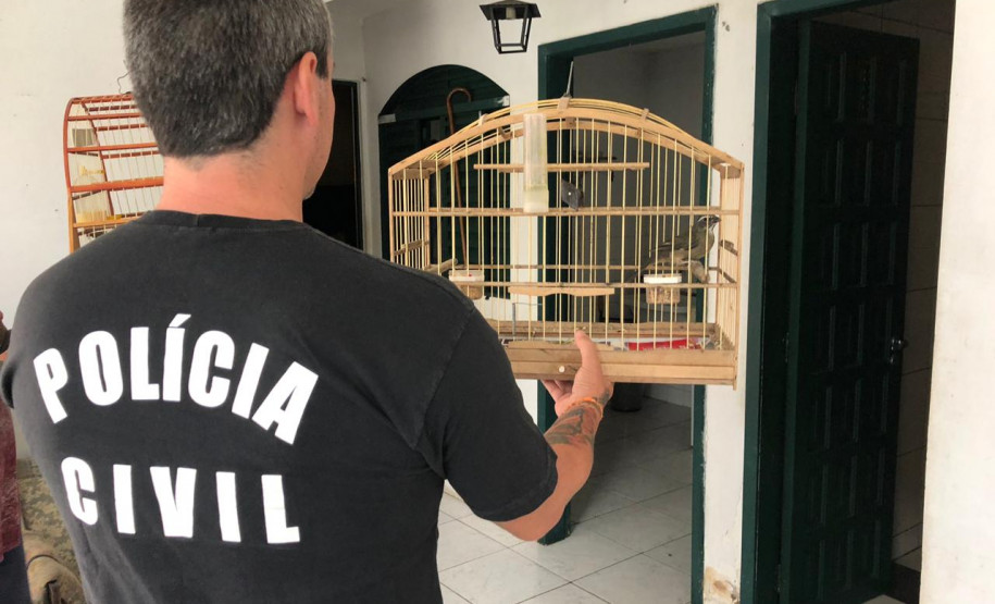 PCPR prende suspeito de manter aves silvestres sem autorização legal